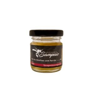 Mel de Jataí Puro 40g - Mel de Abelha Sem Ferrão