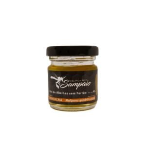 Mel de Mandaçaia 40g - Mel de Abelha Sem Ferrão