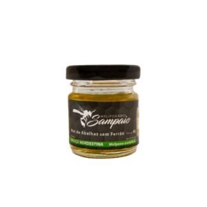 Mel de Uruçu Nordestina Puro 40g - Mel de Abelha Sem Ferrão