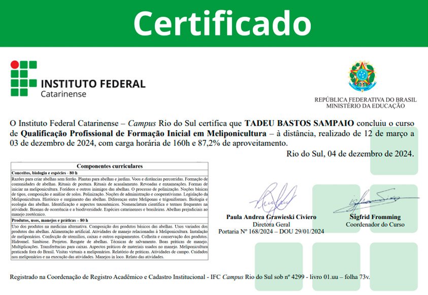 Certificado Tadeu