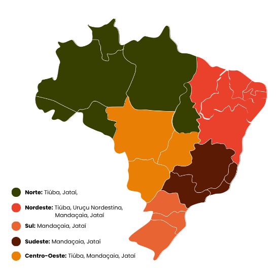 Cada mel revela o sabor do seu território