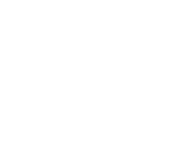 abelha b